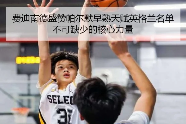 费迪南德盛赞帕尔默早熟天赋英格兰名单不可缺少的核心力量 - HuiYing
